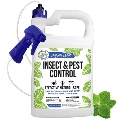 Ants mint oil. Things To Know About Ants mint oil. 